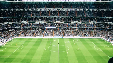 山东省足协第七届会员代表大会顺利召开